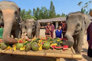 Thai-National-Elephant-Day-08