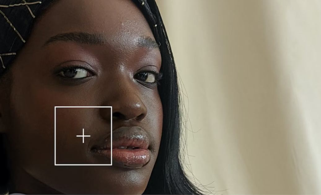 Google engineers training AI models with the new skin tone scale.